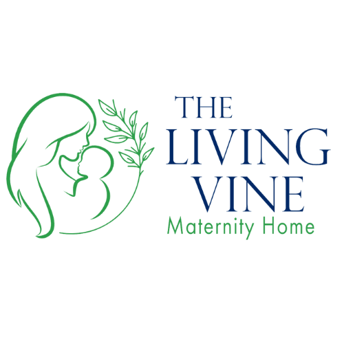 The Living Vine